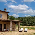Ginepro Poderone * Grosseto