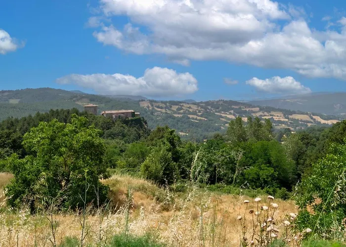 Ginepro Poderone Σπίτι διακοπών Γκροσέτο