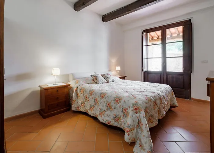 Ginepro Poderone Grosseto