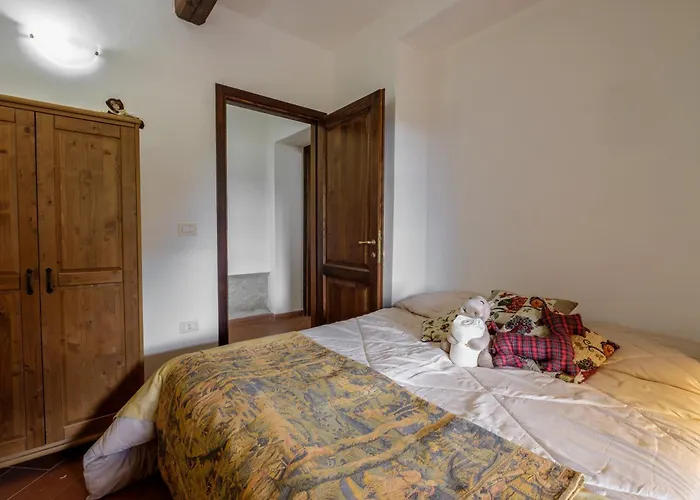 Ginepro Poderone Grosseto